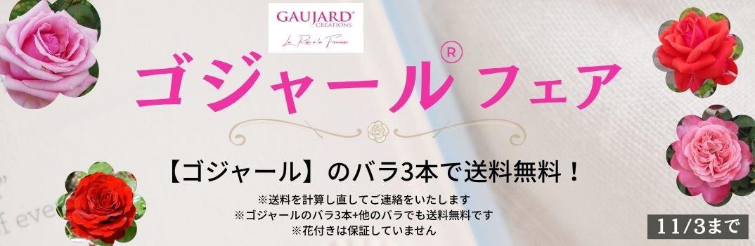 ゴジャールフェア