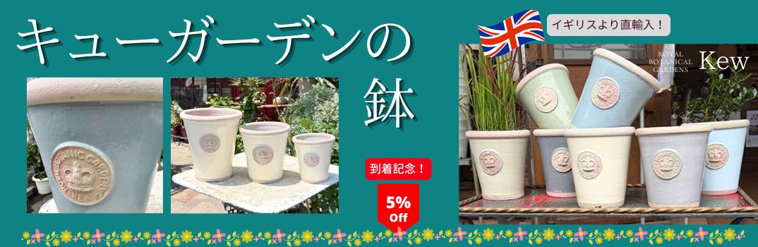 キューガーデンの鉢