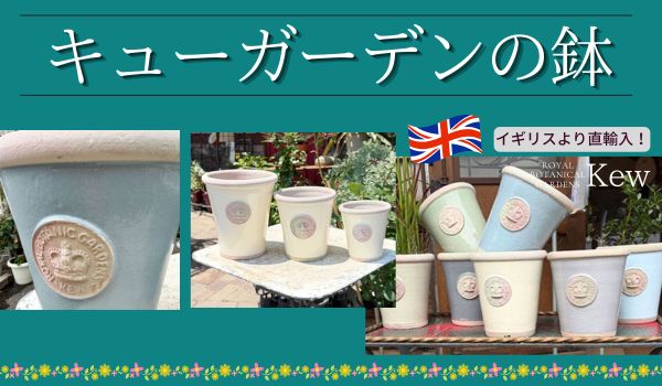 キューガーデンの鉢