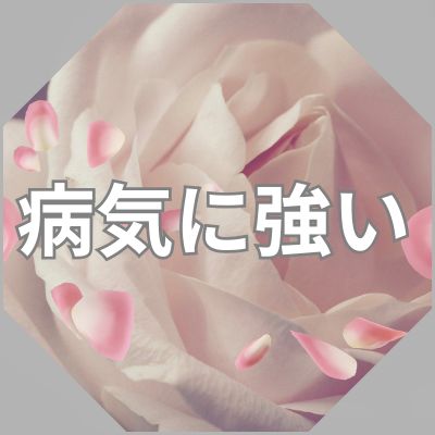 病気に強い
