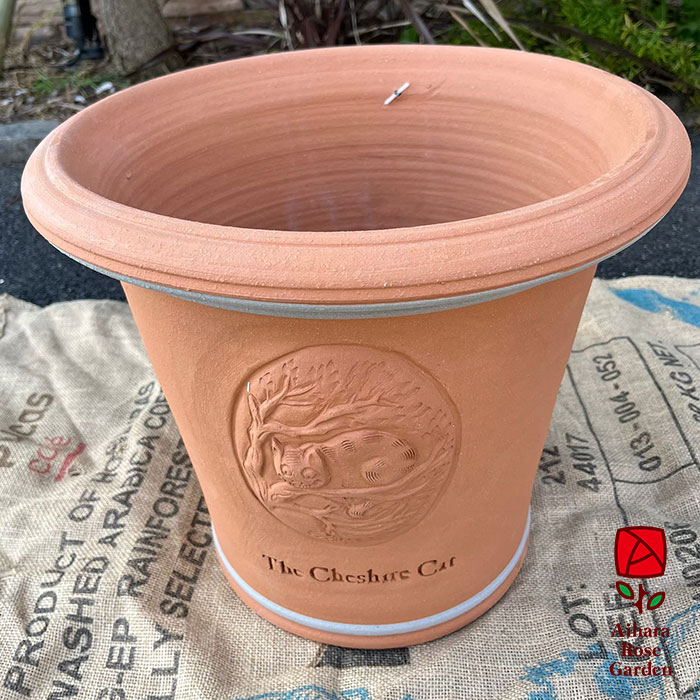 ウィッチフォード鉢Cheshive Cat 2