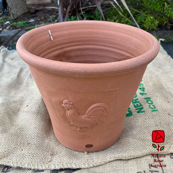 ウィッチフォード鉢Cockerel