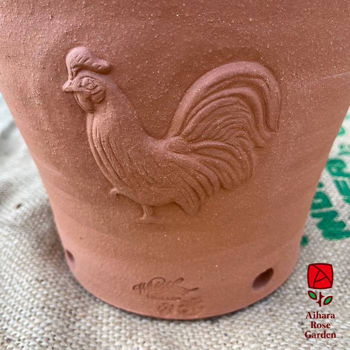 ウィッチフォード鉢Cockerel 2