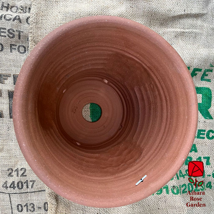 ウィッチフォード鉢Cockerel 3