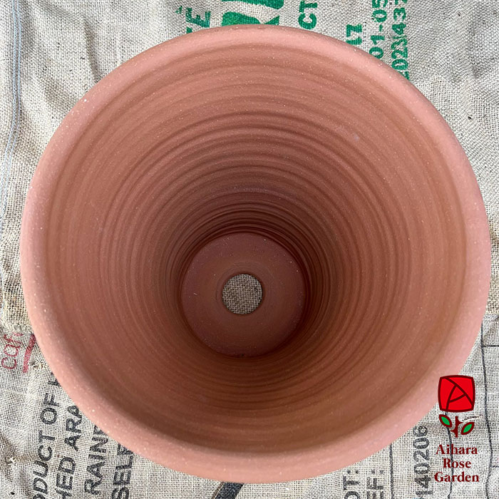 ウィッチフォード鉢Oxford 3