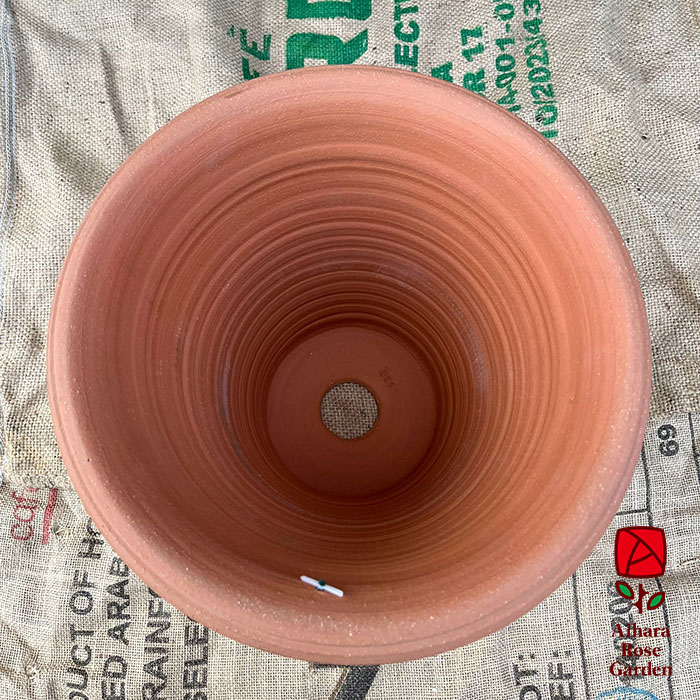 ウィッチフォード鉢Adamis Rusticated 3