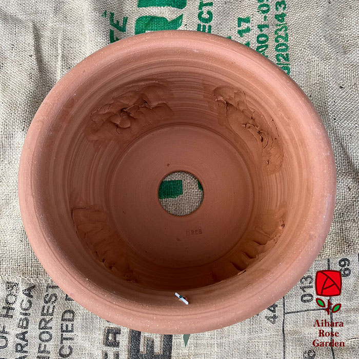 ウィッチフォード鉢Cat Planter 3