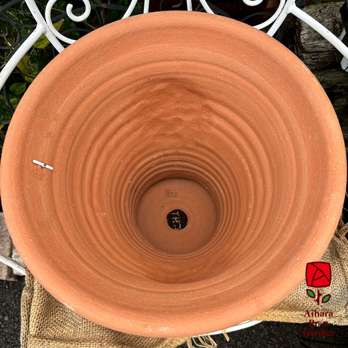 ウィッチフォード鉢English Rose Long Tom 3