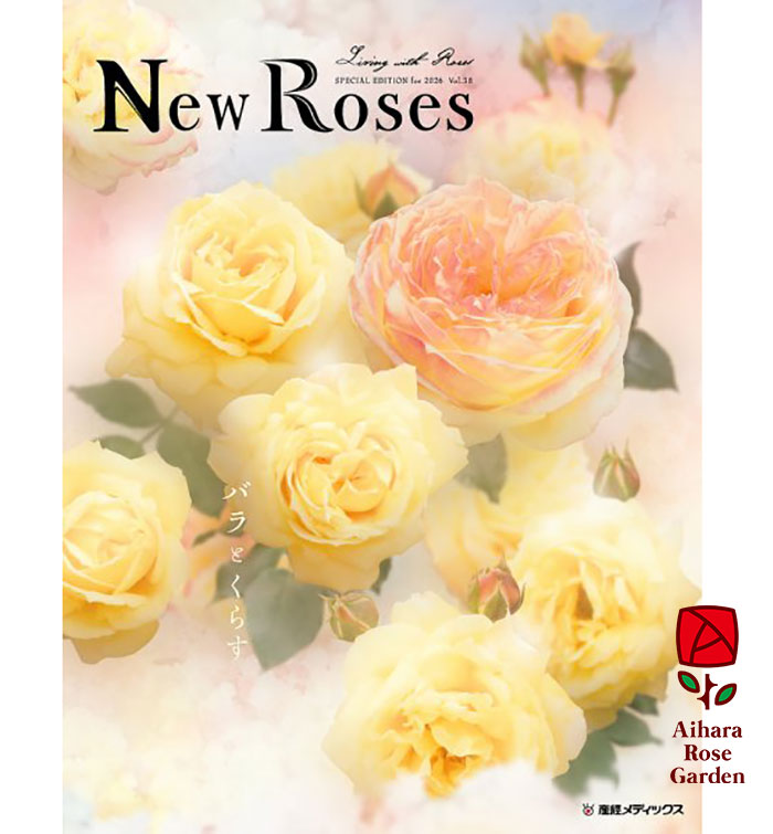 【バラ苗と同梱】NewRoses  (Vol.38)